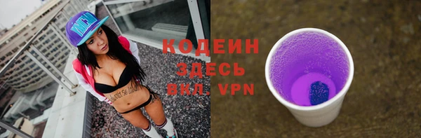 крисы Лабытнанги