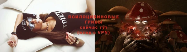 spice Ладушкин