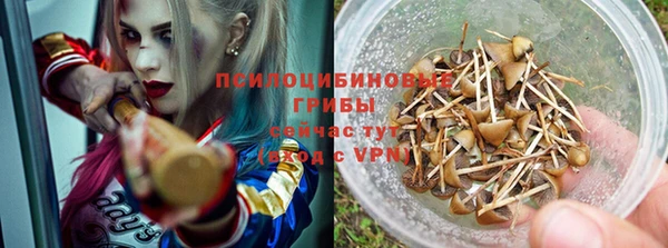 spice Ладушкин