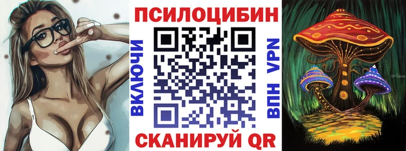 Псилоцибиновые грибы Cubensis  как найти закладки  Енисейск 