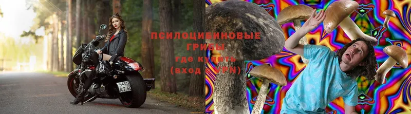 Галлюциногенные грибы Magic Shrooms  Енисейск 